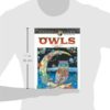 Creative Haven Owls Coloring Book - Image 4