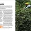 The World Atlas of Coffee: From beans to brewing - coffees explored, explained and enjoyed - Image 5