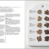 The World Atlas of Coffee: From beans to brewing - coffees explored, explained and enjoyed - Image 6