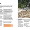 The World Atlas of Coffee: From beans to brewing - coffees explored, explained and enjoyed - Image 7